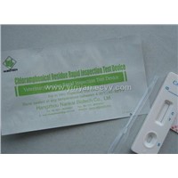 Chloramphenicol rapid Test