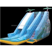 Inflatable Fun Slides