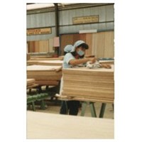 plywood ,black film faced plywood  skype:ardiswei
