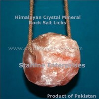 Animals licking salt | Himalayan mineral crystal rock salt licks &amp;amp; blocks for horses cattle &amp;amp; shee