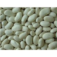 White Kidney Bean extract