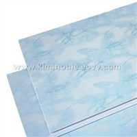 Decorative Panels (Blue Sky)