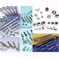 Flange Bolts / Stainless Steel Nut