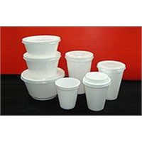 Expanded Polystyrene Foam Products (EPS)