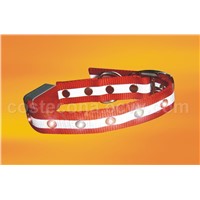 LED Lighted Pets Collar