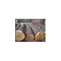 hardwood logs and timber