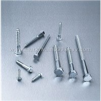 Wood Screw