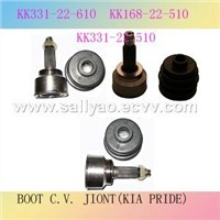 Boot C.v.joint