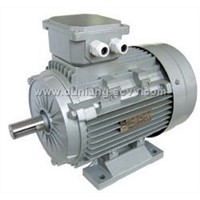 3 Phase electric motor