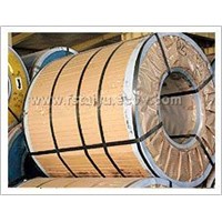 Stainless Steel Coil (202)