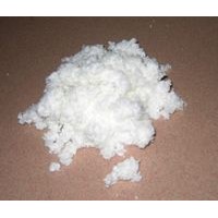 nitrocellulose