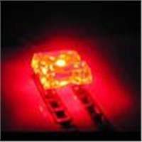 piranha LED used in cars lamps