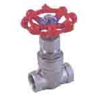 stainless steel valves and pipe fittings gate valve