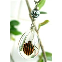 insect amber jewelry mobile phone chain