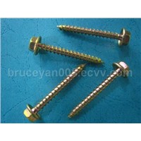 Hex Washer Double Thread Self Tapping Screw
