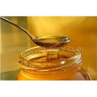 Pure Honey High Quality From Vietnam
