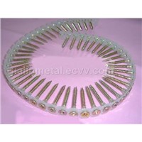 Autofeed collated plastic strip screw