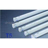 China T5 light