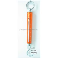 Hanging Spring Scale