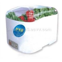 Fruit-vegetable Sterilizer