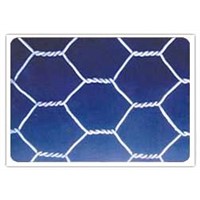 Hexagonal I Iron Wire Netting