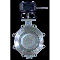 High Performance Butterfly Valve with Pin