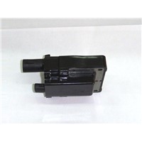 dry ignition coil