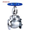API globe valves