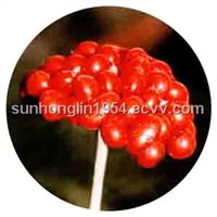 Ginseng seeds