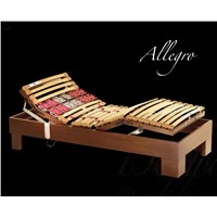 Allegro electric bed