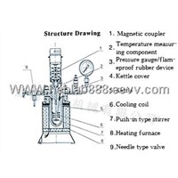 High Pressure Reactor