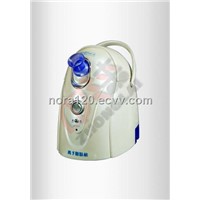 Ion skin care equipment