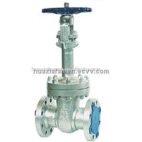 Z41 4H ANSI sub-zero gate valve