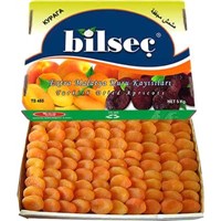 Bilsec Dried Apricots