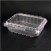 Thermoform plastic container (Fruit Box)
