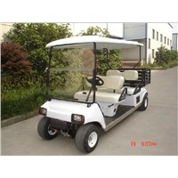 gasoline Golf Cart (DS-GGF008+B)