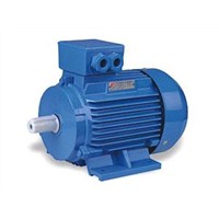 Y2 SERIES THREE PHASE A.C.CHRONOUS INDUCTION MOTOR