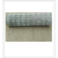 Welded Wire Mesh Galvanized Before or After