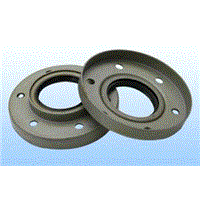 oil seal(auto spare parts,mechnical oil seal o-ring)