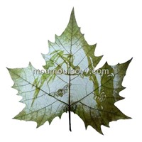 pressed leaf sculpture, leaf botanical art sh0002