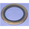 Outer ring spiral wound gasket