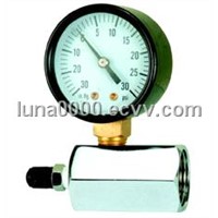 Gas test pressure gauge