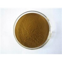 Echinacea Powder Extracts