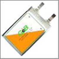 Polymer Lithium Battery