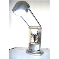 Real insect crystal LED Reading Lamp
