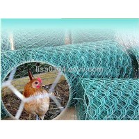Chicken Hexagonal Wire Netting