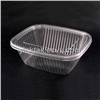 Thermoform Plastic Container(Fruit and salad box)
