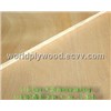 china birch plywood exporter