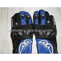 Motorcycle Accessories(Glove)