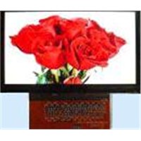TFT LCD Module 4.3 Inch w/Without Touchscreen